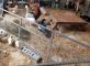 Azur accueille la ferme Tiligolo Résidence Azur Colombes