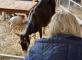 Ferme à la Résidence Azur !  Résidence Azur Colombes